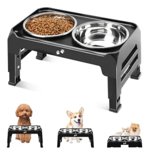2 Elevated Dog Bowls