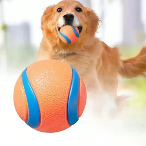 Ball Dog Fetch Toy