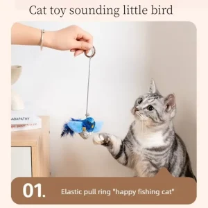 Wall Hanging Bird Cat Toy